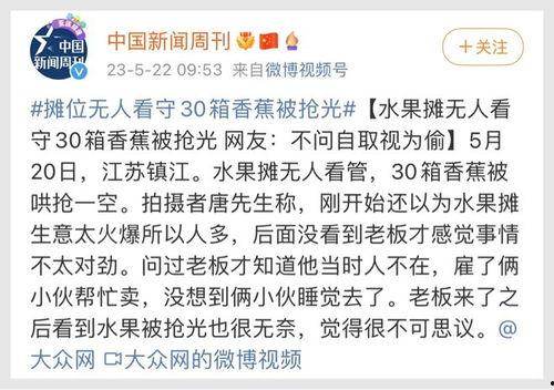 南阳迷笛爆料案件最新,揭秘迷笛音乐节突发事件的背后真相